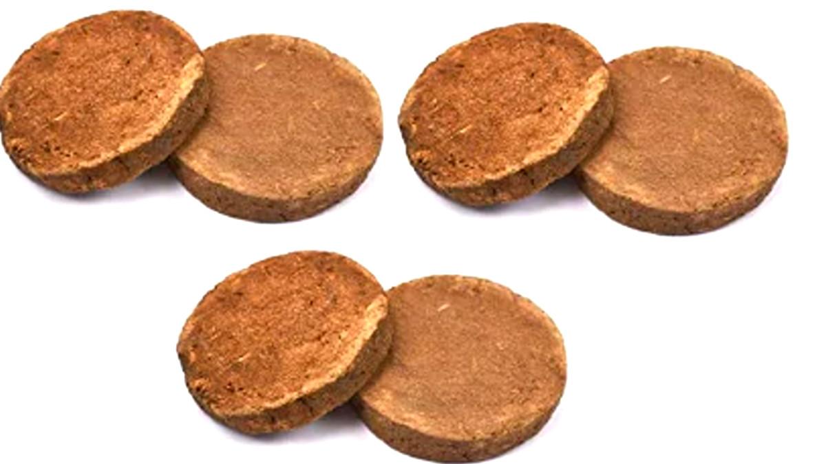 गोबर के उपले.