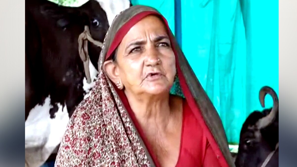 दूध बेचकर करोड़पति बनी 62 साल की महिला, हर महीने कमाती हैं साढ़े 3 लाख रुपये दूध बेचकर करोड़पति बनी 62 साल की महिला, हर महीने कमाती हैं साढ़े 3 लाख रुपये