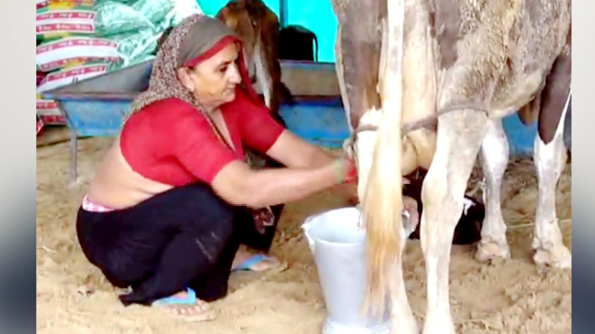 करोड़पत‍ि मह‍िला नवलबेन.