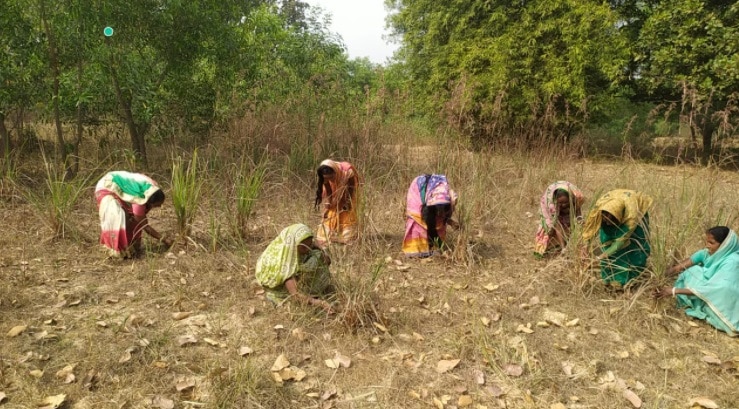 200 महिलाओं को जोड़कर एक महिलाओं का समहू किया गया तैयार. 