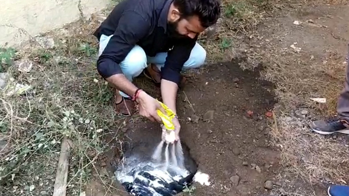 कोर्ट परिसर में 200 कौओं की मौत, टेस्‍ट हुआ तो निकला बर्ड फ्लू 