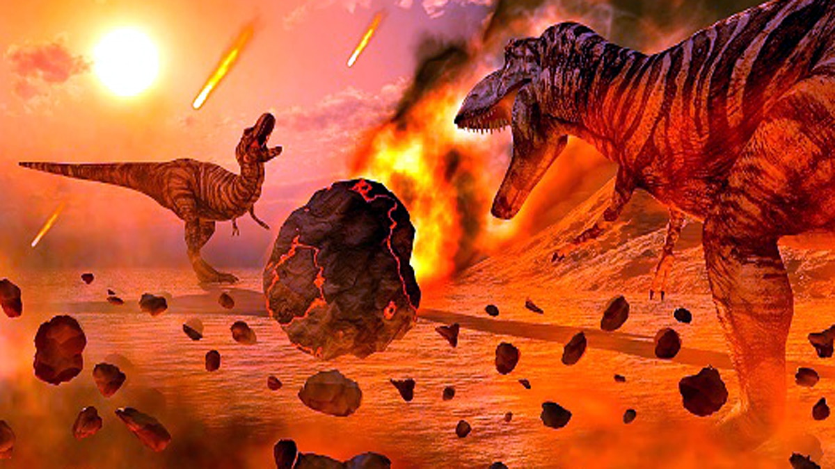 How Crocodile survived Asteroid attack