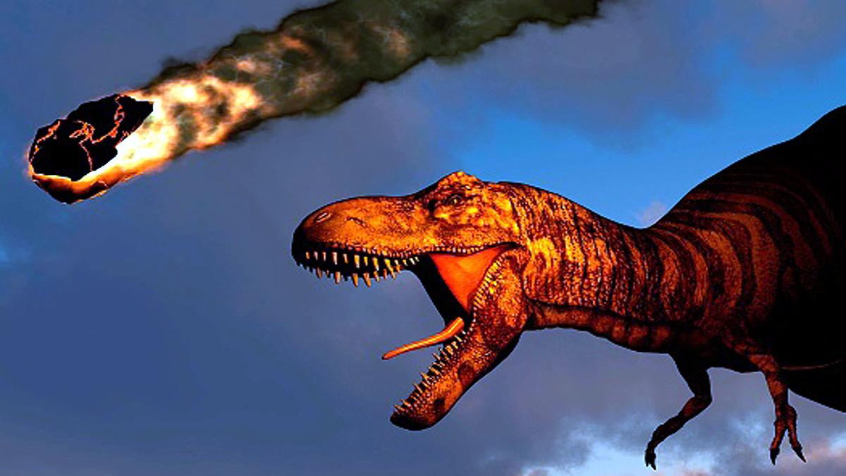 How Crocodile survived Asteroid attack