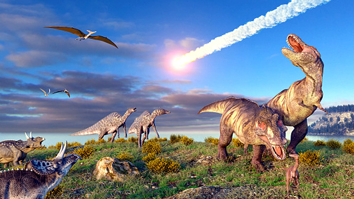 How Crocodile survived Asteroid attack