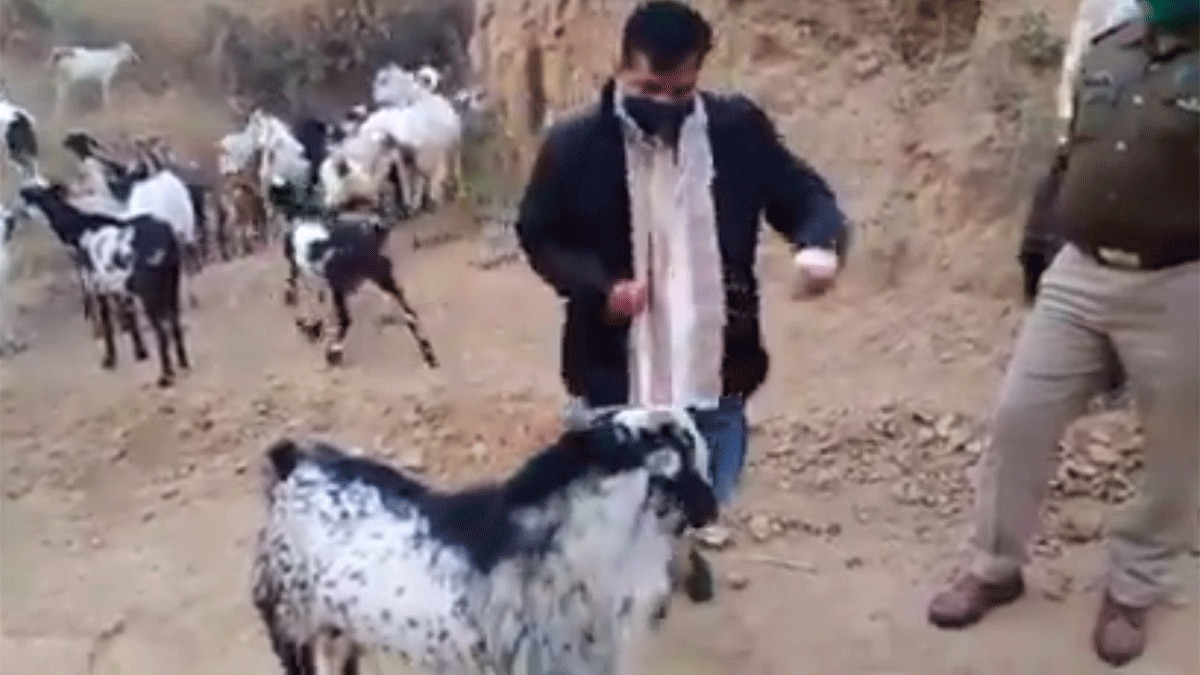 कानपुर देहात जिले के जिलाधिकारी दिनेश चंद्र (फोटो आजतक)