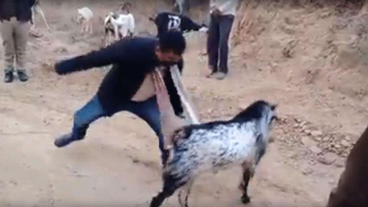 कानपुर देहात जिले के जिलाधिकारी दिनेश चंद्र (फोटो आजतक)