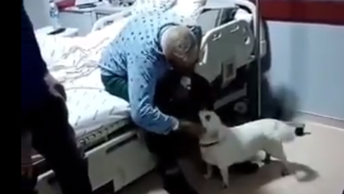 मालिक ने बताया कि कुत्ते का नाम बोनकुक.