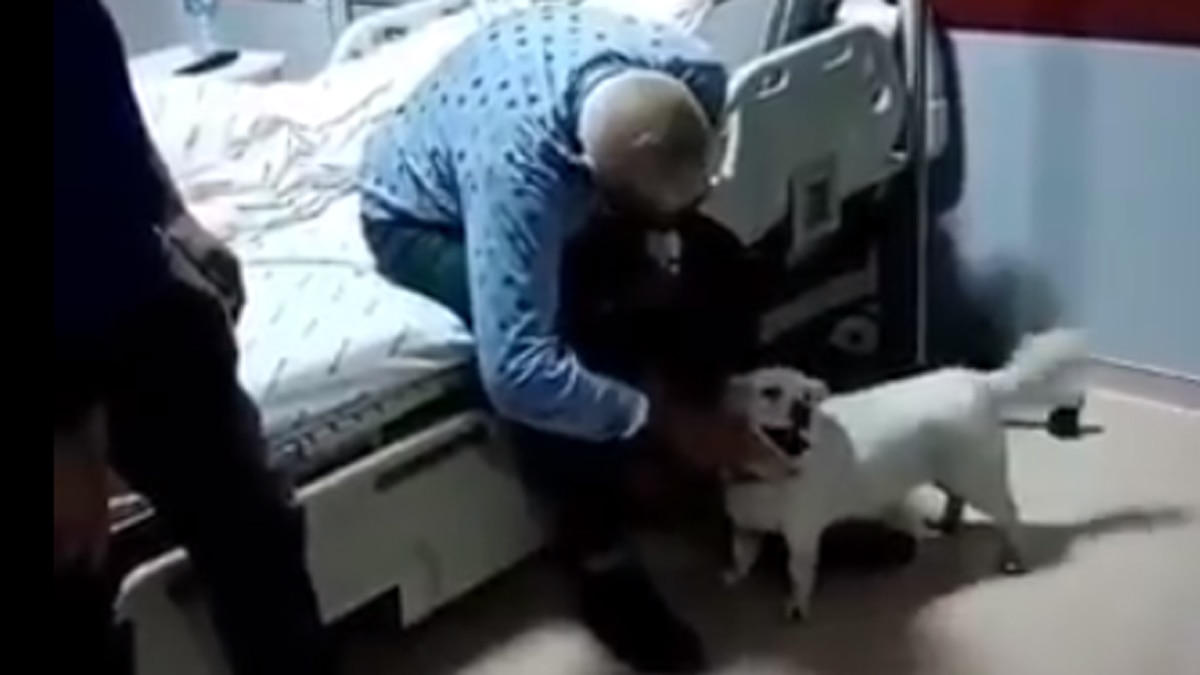  अस्पताल प्रशासन भी कुत्ते को देख हैरान.