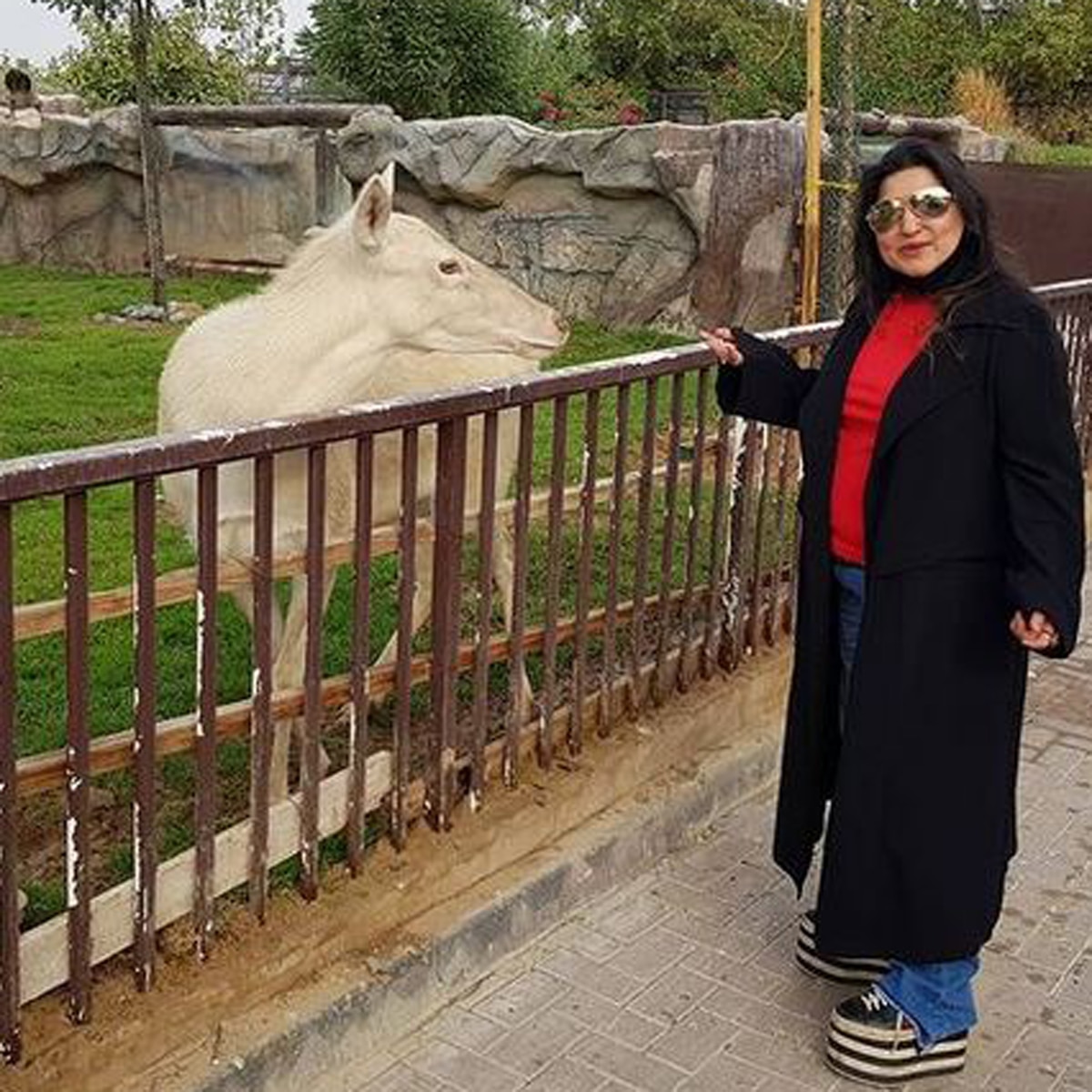 डॉली बिंद्रा