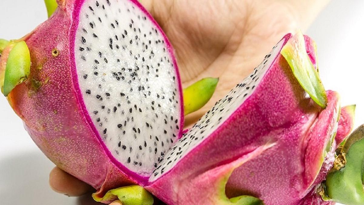 नए साल में अपनाएं ये 10 हेल्दी आदतें, कभी पास नहीं आएंगे रोग