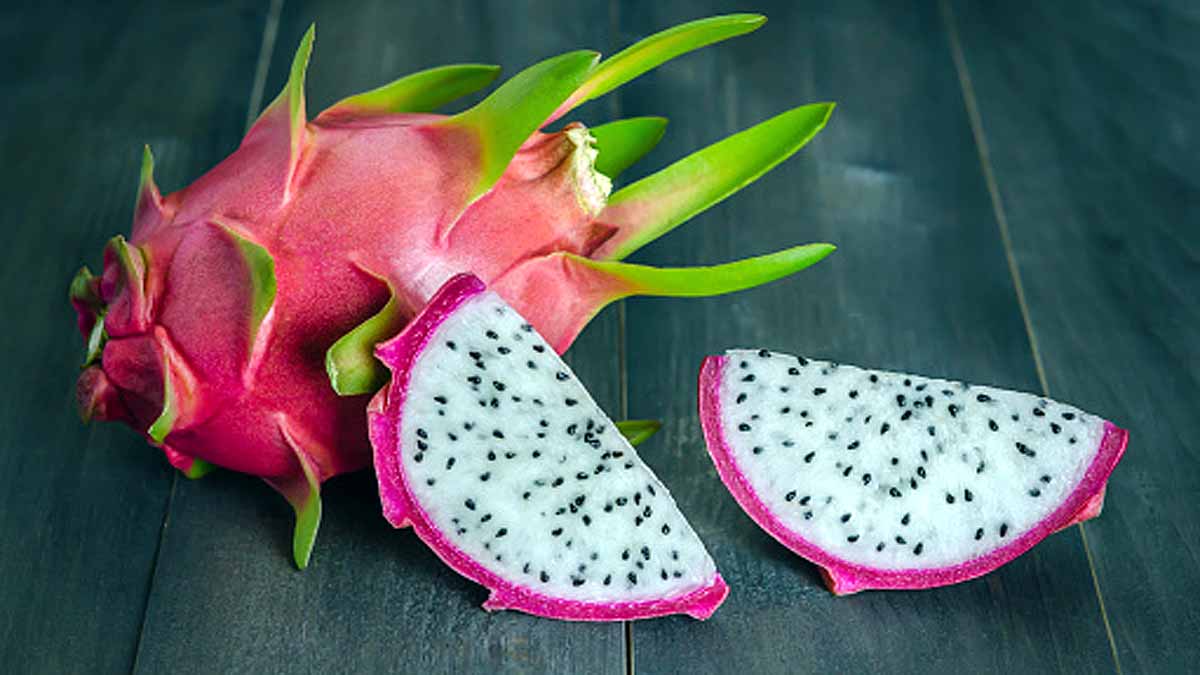 Dragon Fruit Vijay Rupani Kamalam