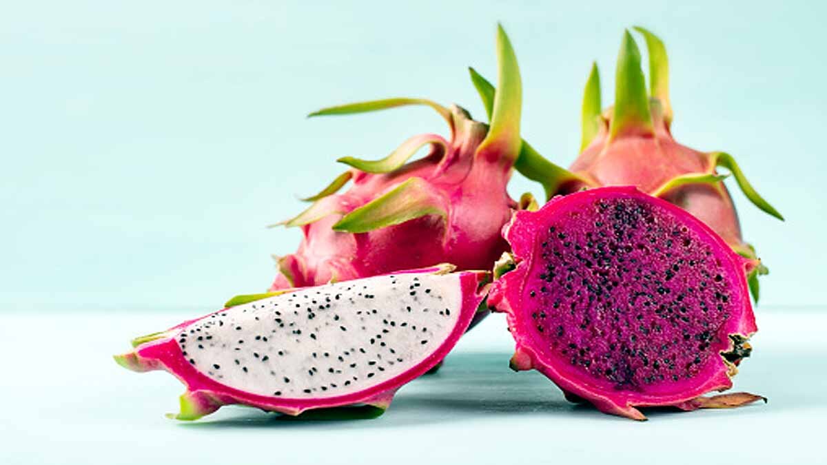 Dragon Fruit Vijay Rupani Kamalam