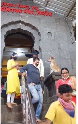 कुत्ता दे रहा लोगों को आशिर्वाद