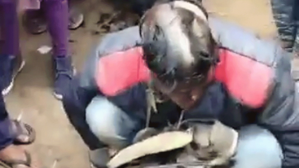  युवक का मुंह काला कर और उसे जूतों की माला पहनाई