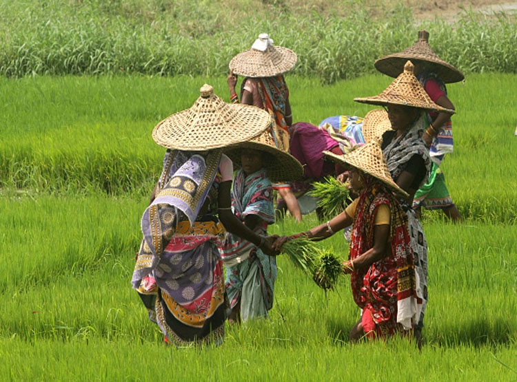  कृषि पर सरकार की खास नजर 
