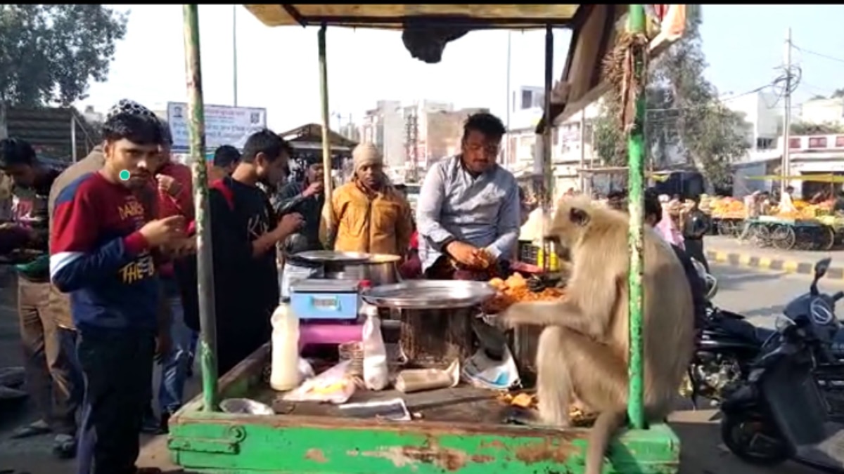 सुबह होते ही दूकानों पर पहुंचकर करता है ब्रेकफास्ट.