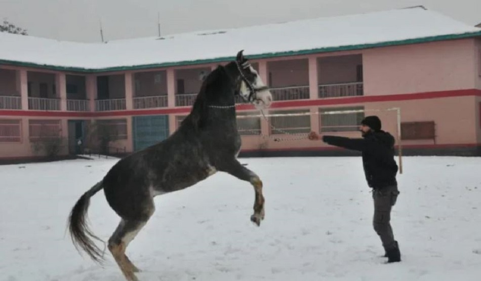 डिलीवरी ब्वॉय ने जीता लोगों का दिल