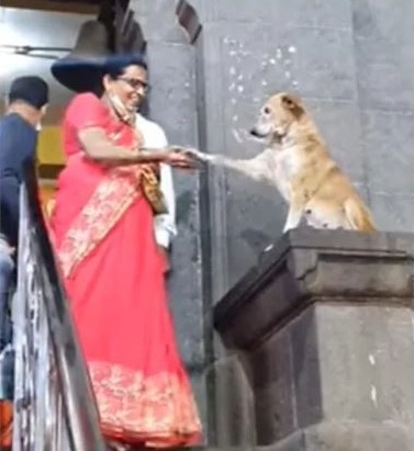कुत्ता दे रहा लोगों को आशिर्वाद