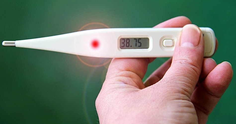 बर्ड फ्लू के लक्षण