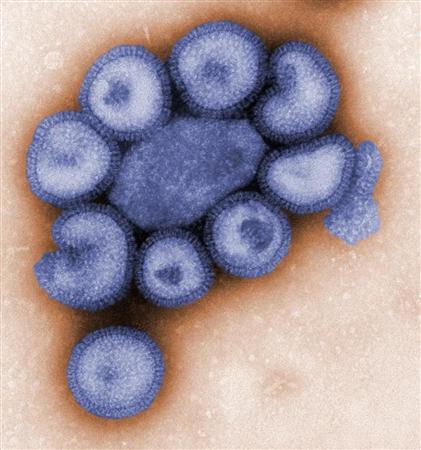 Influenza