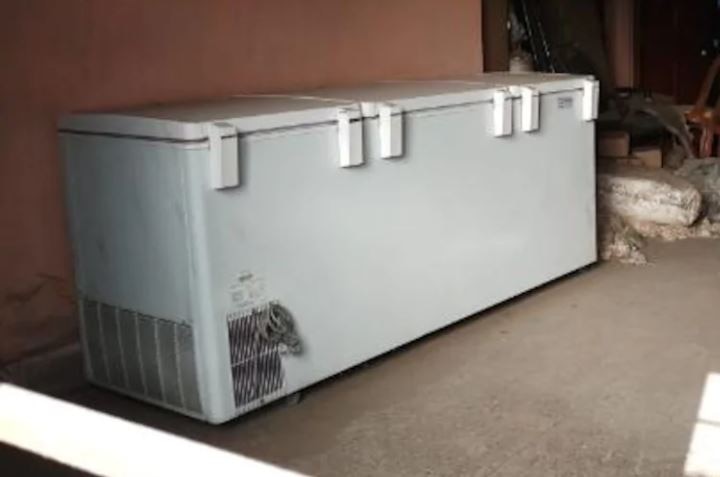 मरी हुई मां को 10 सालों तक फ्रीज में रखा