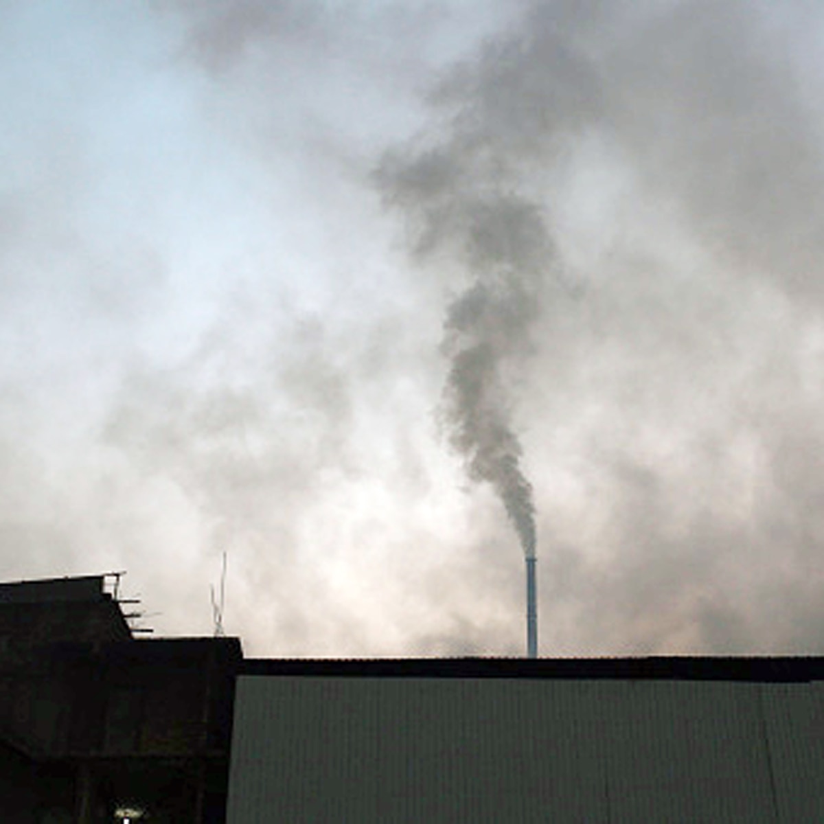 प्रतीकात्मक तस्वीर