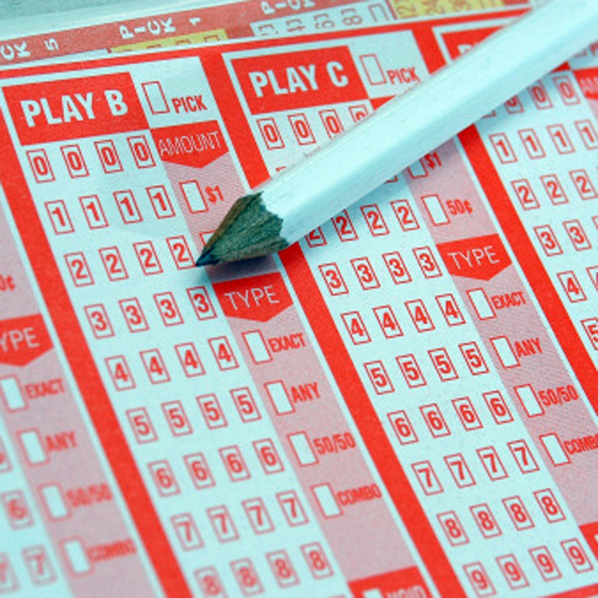 प्रतीकात्मक तस्वीर