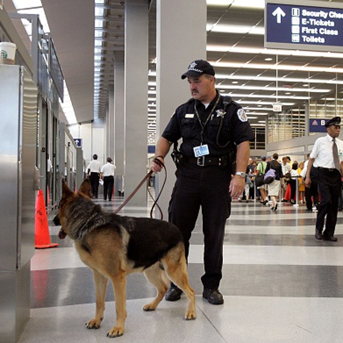 प्रतीकात्मक तस्वीर