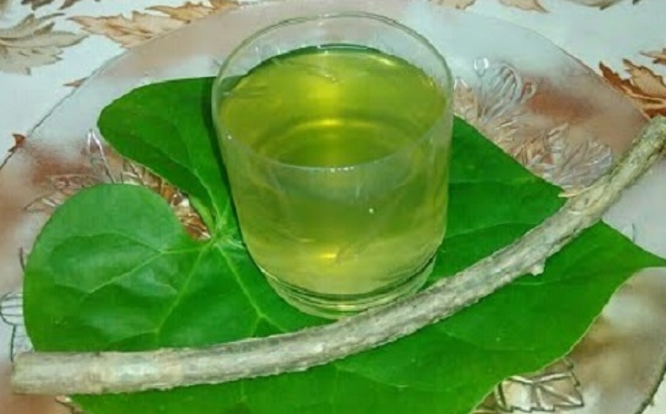 एक दिन में कितना गिलोय