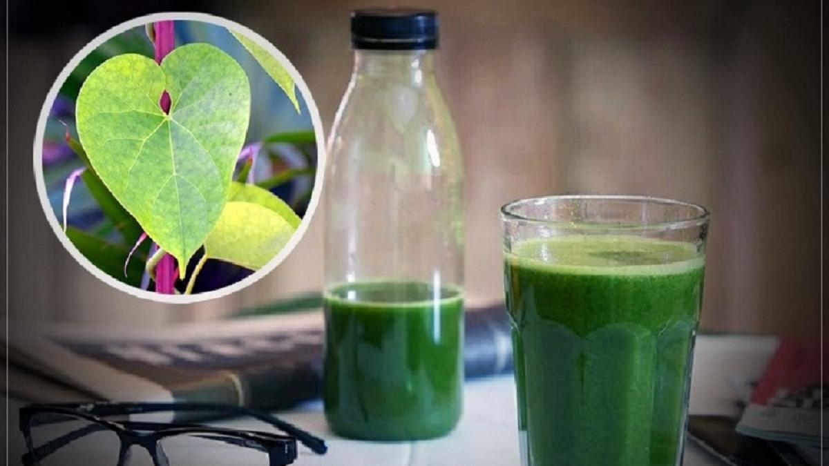 Giloy Side Effects: इम्यूनिटी बढ़ाने वाले गिलोय के भी होते हैं साइड इफेक्ट, डायबिटीज मरीज रहें ज्यादा सतर्क