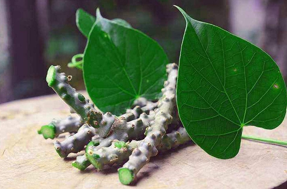 ऑटो इम्यून डिसॉर्डर