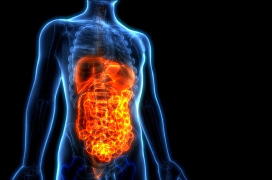 आंतों को फायदा