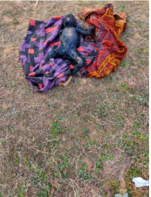 जिंदा जल गई तीन साल की बच्ची