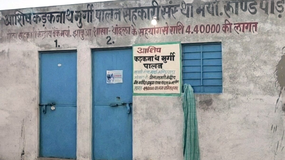 धोनी के कड़कनाथ चूजों का जहां हो रहा था पालन, बर्ड फ्लू से सभी की मौत 