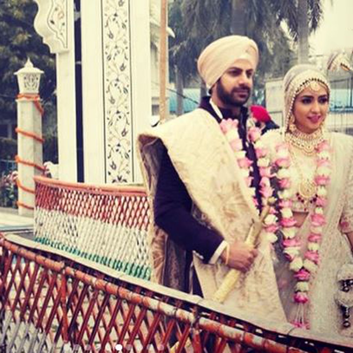 करणवीर मेहरा और निधि सेठ 