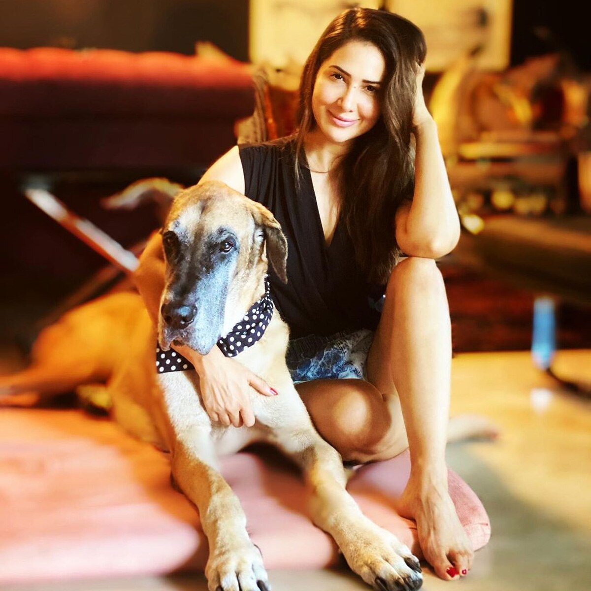 किम शर्मा 