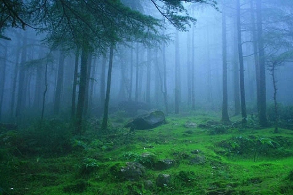 लंबासिंगी, आंध्र प्रदेश