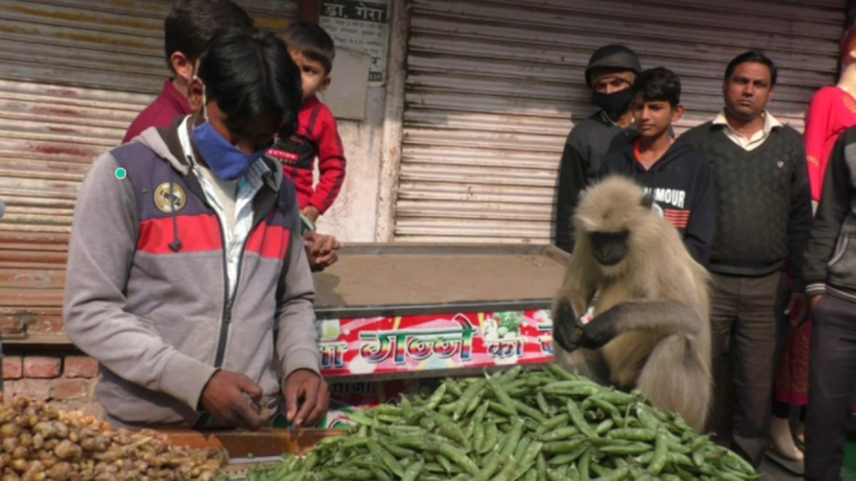 ये मामला शहर में चौबुर्जा इलाके का है.