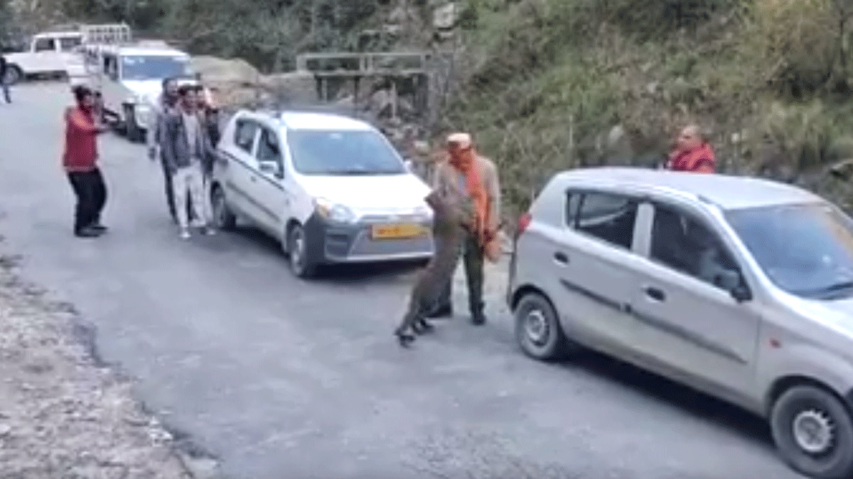 तेंदुए संग मस्ती करते दिखे लोग (फोटो आजतक)