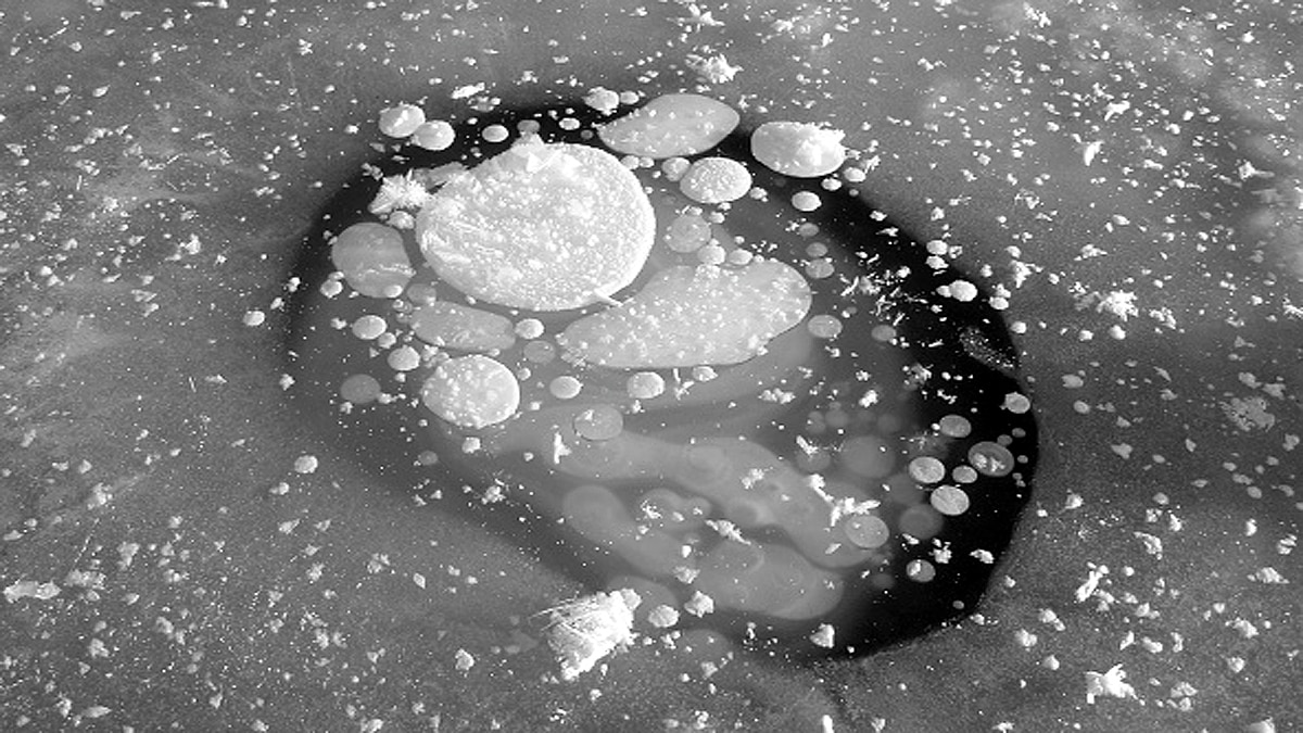 MethaneSAT Selects Elon Musk SpaceX for Satellite Launch