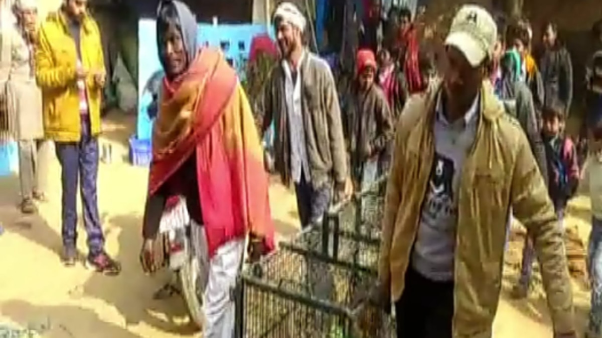 बंदर के पकड़े जाने के बाद ग्रामीणों ने राहत की सांस ली.