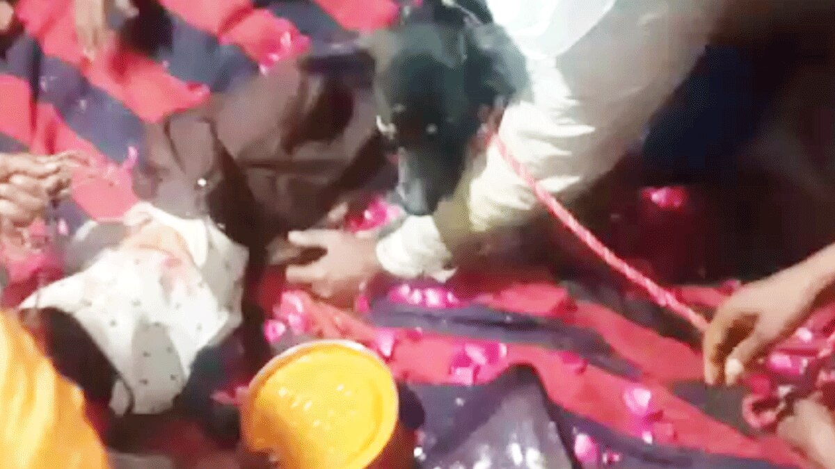  कुत्ते और कुतिया की शादी (फोटो आजतक)