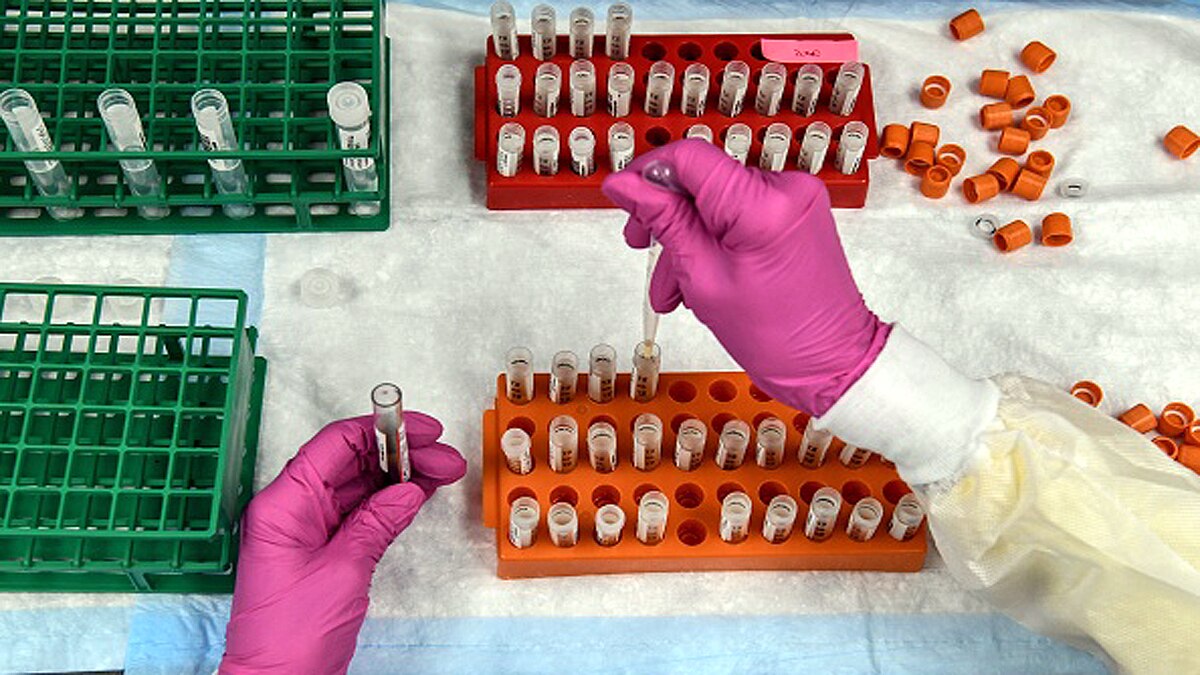 Effect of old Corona Antibody on UK Covid Variant