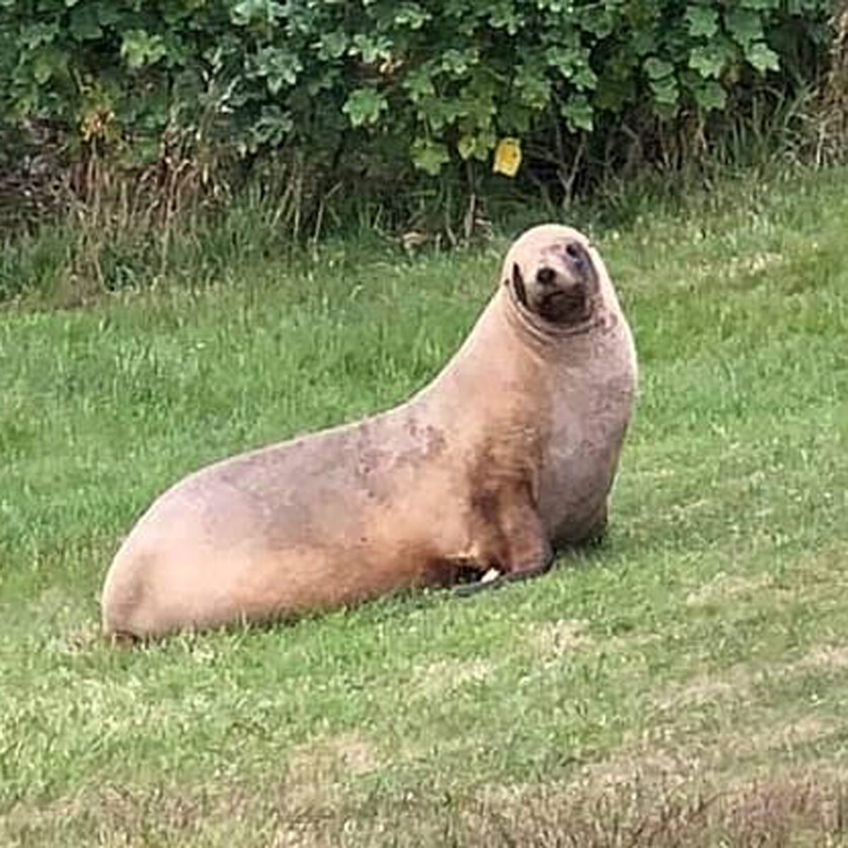प्रतीकात्मक तस्वीर