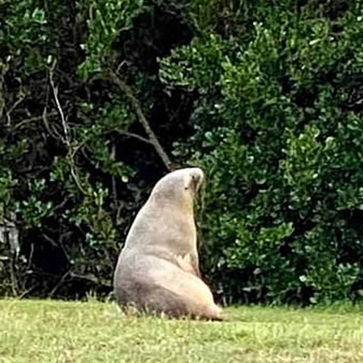 प्रतीकात्मक तस्वीर