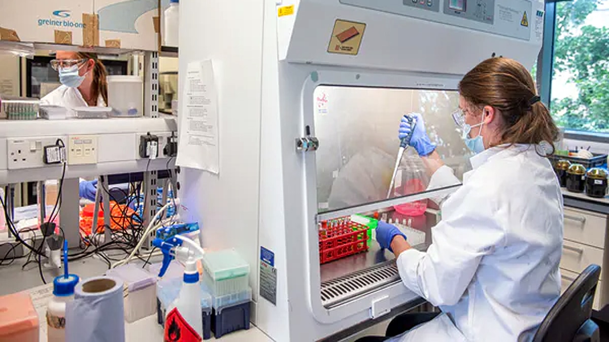 How Oxford Corona Vaccine Covishield Developed