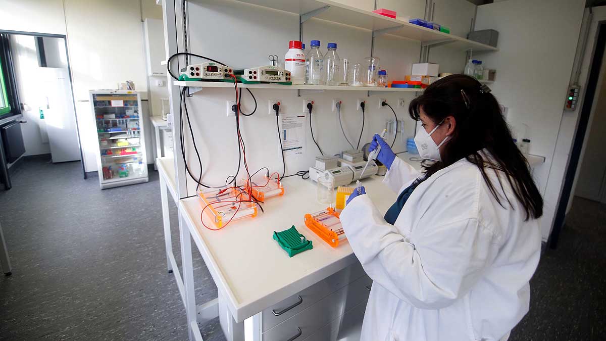 German scientist make paralyzed mice walk again