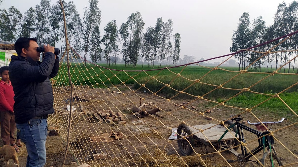 बाघ को पकड़ने की बजाय पूरे घर के बाहर लगा दिया जाल