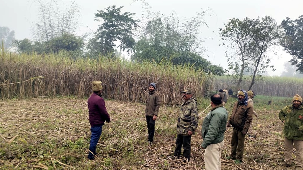 बाघ को पकड़ने की बजाय पूरे घर के बाहर लगा दिया जाल