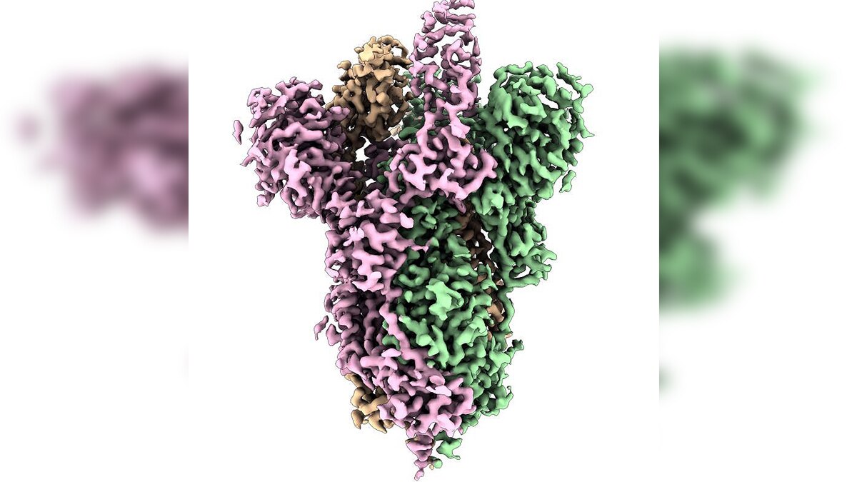 How the First Corona Vaccine Made
